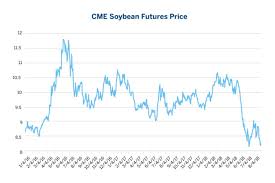 Why Soybeans Are A Proxy For The Trade War