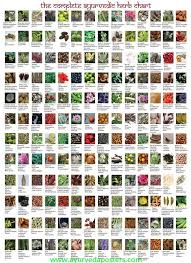 Herbs Pictures And Names With 168 Ayurvedic Herbs