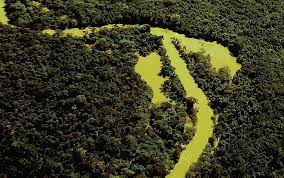 Amazônia maranhense requer atenção para continuar existindo - ((o))eco