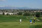 Thorncreek Golf Course in Thornton looks to innovate – The Denver Post