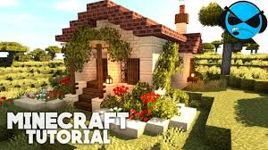 how to build a sandstone starter house