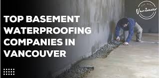 Top Basement Waterproofing Companies In