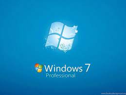 Windows 7 Professional 1024x1024 iPad ...