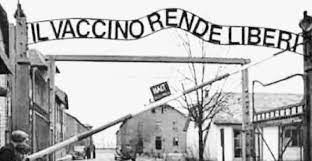Frosinone, "Il vaccino rende liberi" su foto Auschwitz: il consigliere  Ferrara nella bufera