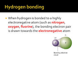 Hydrogen Bonding Powerpoint