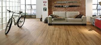 However, vinyl is the choice for those who want the look of hardwood without the additional cost. Vinyl Flooring Suppliers In Sri Lanka The Expert
