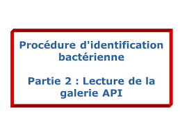 procédure d identification bactérienne