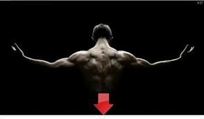 Bodybuilding Wallpapers HD for Android - APK Download