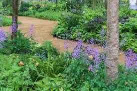 chelsea flower show all 27 gardens and