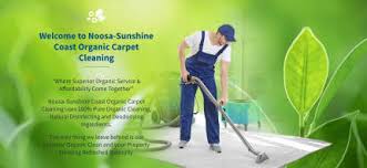 exclusive organic carpet cleaning