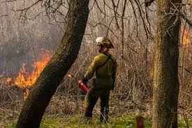Our alumni out in the world land management agencies state forests and parks conservation districts forest products companies environmental consulting firms. Penn State Wants To Burn Pennsylvania Forests To Make Them Better Pennlive Com