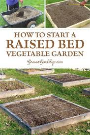 raised vegetable gardens