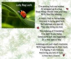 Ladybug Poems