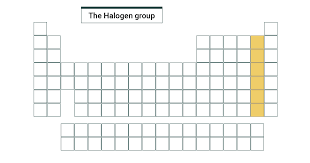 group 17 the halogens