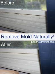 How To Get Rid Of Mold Naturally 3 Ways