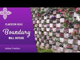 Plantation Ideas For Boundary Wall