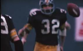 Image result for immaculate reception