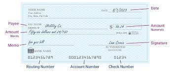 how to write a check a step by step