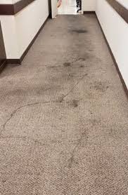 commercial services buckeye carpet care