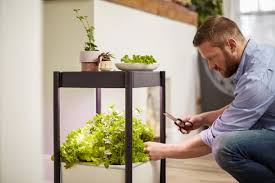 8 Best Indoor Garden Systems For Fresh