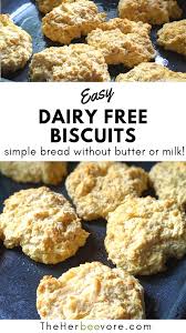 dairy free biscuits recipe no milk or