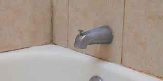 what to know about bathroom mold and