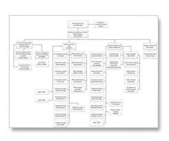 Organizational Chart The University Of Illinois Office Of