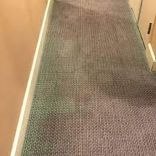 carpet dyeing professional carpet