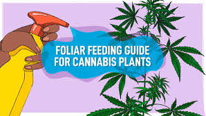foliar feeding guide for cans