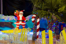 moody gardens kicks off christmas in