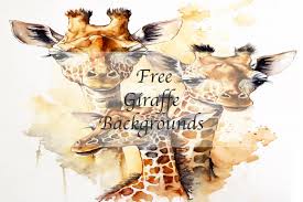 free giraffe ilration graphic by
