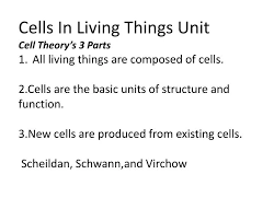 ppt cells in living things unit cell