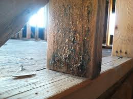 new home construction mold