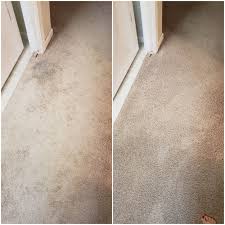 citrusolution carpet cleaning of north