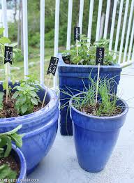Easy Diy Kitchen Herb Garden In Deck
