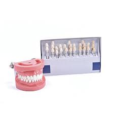 Dental Teeth Shade Guide Vita Professional 3d Master Style Tooth Whitening Shade Chart With 29 Colors