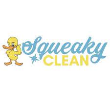 squeaky clean services 17 photos