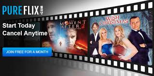 With thousands of choices on the platform, both original and acquired, we've found the 100 top netflix movies with the highest tomatometer scores! Pure Flix A Niche Streaming Success Interview With Ceo Greg Gudorf