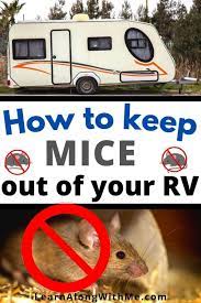 keeping mice out of our rv