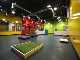 dog daycare flooring allied s