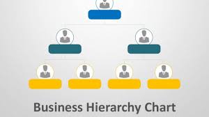 Business Hierarchy Chart