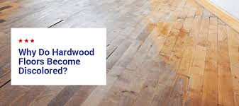 Hardwood Floor Discoloration