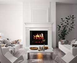 ᑕ❶ᑐ Gas Or Electric Fireplace Which