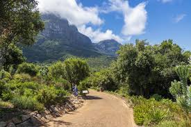 kirstenbosch national botanical garden