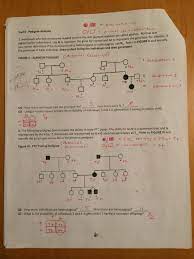 Then, use the pedigree to answer the questions in the lab report. Key Pedigree Analysis Worksheet Mrs Paulik S Website