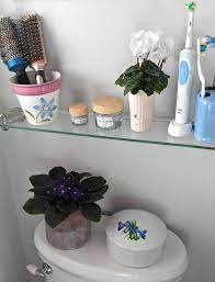 They are perfect windowsill plants as long as 4. African Violets Tips For This Popular Indoor Flowering Plant