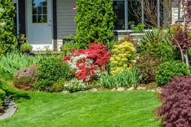 6 Tips For A Great Looking Lawn Gold