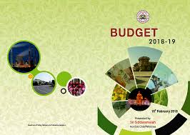 Image result for 2018-19 central budget vs achievements