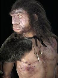 Diabetes risk gene 'from Neanderthals' - BBC News
