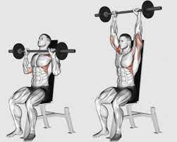 muscle with the seated overhead press